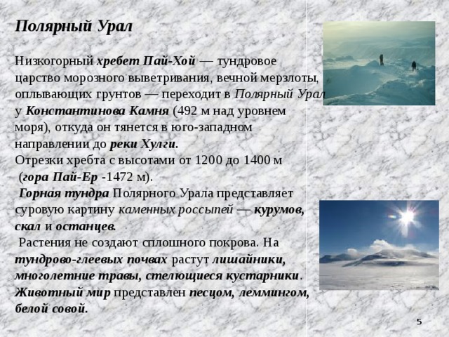 Полярный Урал   Низкогорный хребет Пай-Хой — тундровое царство морозного выветривания, вечной мерзлоты, оплывающих грунтов — переходит в Полярный Урал у Константинова Камня (492 м над уровнем моря), откуда он тянется в юго-западном направлении до реки Хулги.  Отрезки хребта с высотами от 1200 до 1400 м  ( гора Пай-Ер -1472 м).   Горная тундра Полярного Урала представляет суровую картину каменных россыпей — курумов, скал и останцев.  Растения не создают сплошного покрова. На тундрово-глеевых почвах растут лишайники, многолетние травы, стелющиеся кустарники . Животный мир представлен песцом, леммингом, белой совой.  