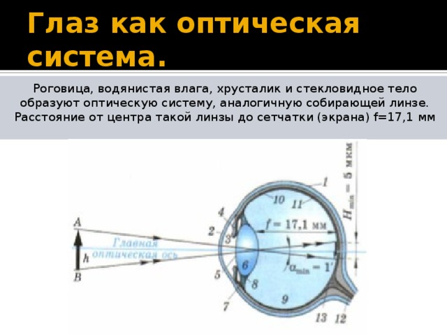 Глаз схема физика