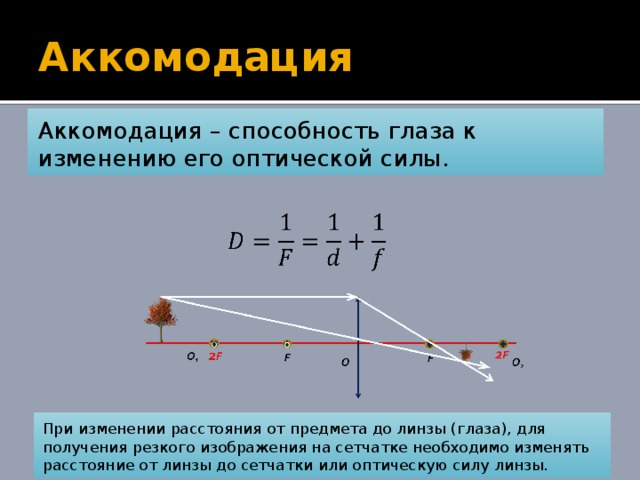 Расстояние глаз