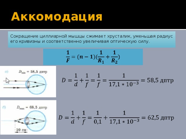 Уменьшить радиус. Оптическая сила хрусталика. Радиус кривизны поверхностей хрусталика. Кривизна хрусталика и оптическую силу. Аккомодация оптическая сила.