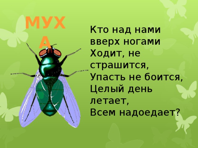 что над нами вверх ногами. что над нами вверх ногами ответ на загадку. кто над нами вверх. что над нами вверх ногами. над нами кверху ногами загадка ответ.