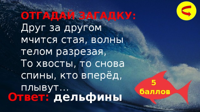 ОТГАДАЙ ЗАГАДКУ: Друг за другом мчится стая, волны телом разрезая, То хвосты, то снова спины, кто вперёд, плывут… 5 баллов Ответ: дельфины 