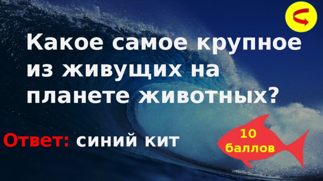 Какое самое крупное из живущих на планете животных?  10 баллов Ответ:  синий кит 