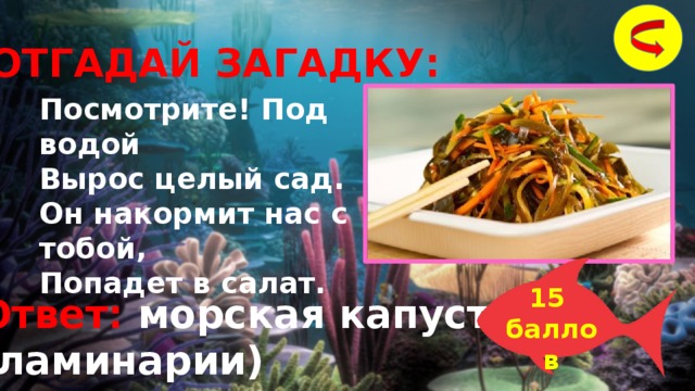 ОТГАДАЙ ЗАГАДКУ: Посмотрите! Под водой Вырос целый сад. Он накормит нас с тобой, Попадет в салат.  15 баллов Ответ: морская капуста (ламинарии) 