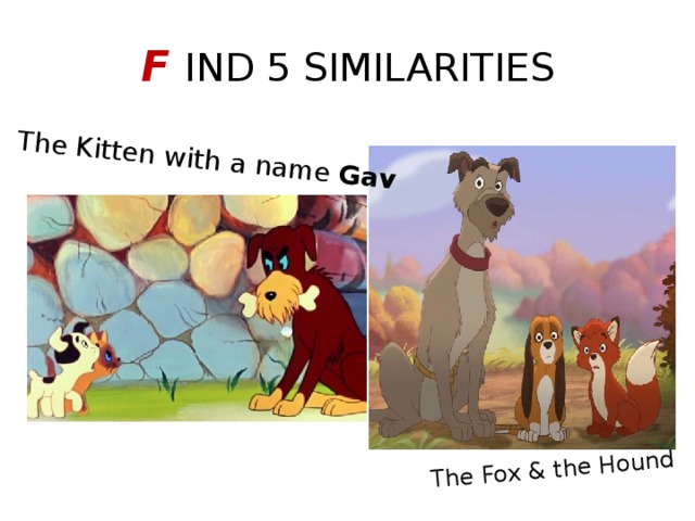 The Kitten with a name Gav The Fox & the Hound F IND 5 SIMILARITIES 