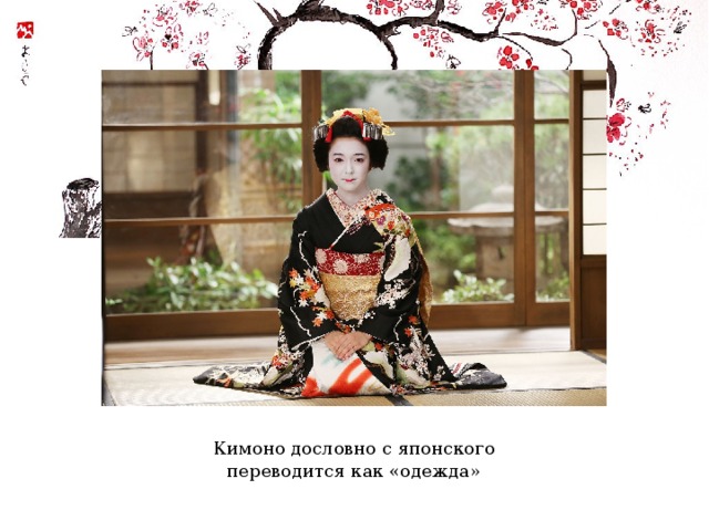 Кимоно дословно с японского переводится как «одежда» 
