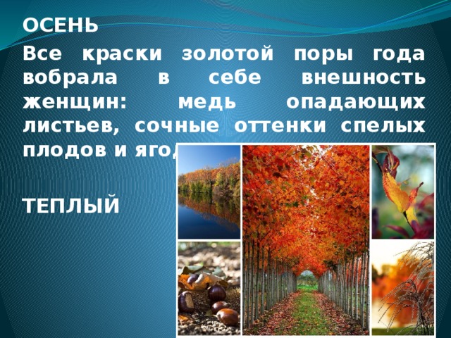 ОСЕНЬ Все краски золотой поры года вобрала в себе внешность женщин: медь опадающих листьев, сочные оттенки спелых плодов и ягод, зелень мха.  ТЕПЛЫЙ   