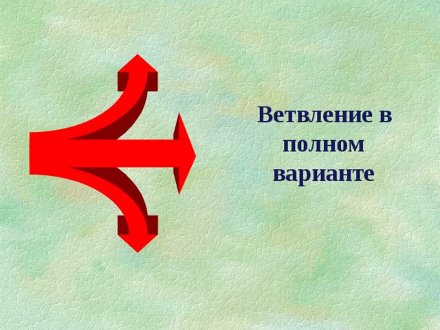  Ветвление в полном варианте 