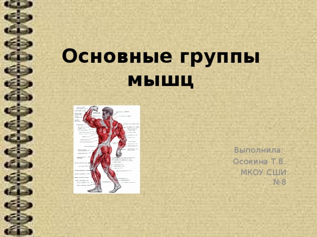 Основные группы мышц Выполнила: Осокина Т.В. МКОУ СШИ №8 