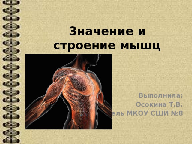 Каково значение мышечного чувства людей разных профессий. Значение мышц. Значение мышц для человека. Каково значение мышц. Значение мышц 3 класс.
