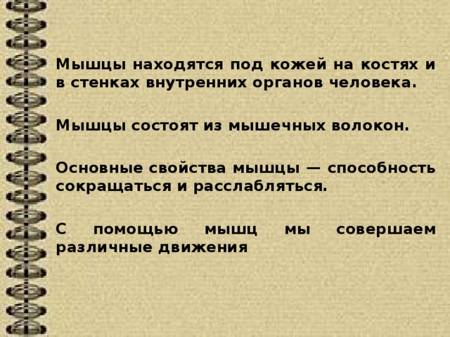 Мышцы находятся под кожей на костях и в стенках внутренних органов человека.  Мышцы состоят из мышечных волокон.  Основные свойства мышцы — способность сокращаться и расслабляться.  С помощью мышц мы совершаем различные движения 