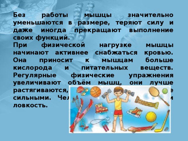 Без работы мышцы значительно уменьшаются в раз­мере, теряют силу и даже иногда прекращают выполне­ние своих функций. При физической нагрузке мышцы начинают актив­нее снабжаться кровью. Она приносит к мышцам боль­ше кислорода и питательных веществ. Регулярные фи­зические упражнения увеличивают объём мышц, они лучше растягиваются, становятся более сильными. Че­ловек приобретает силу и ловкость. 