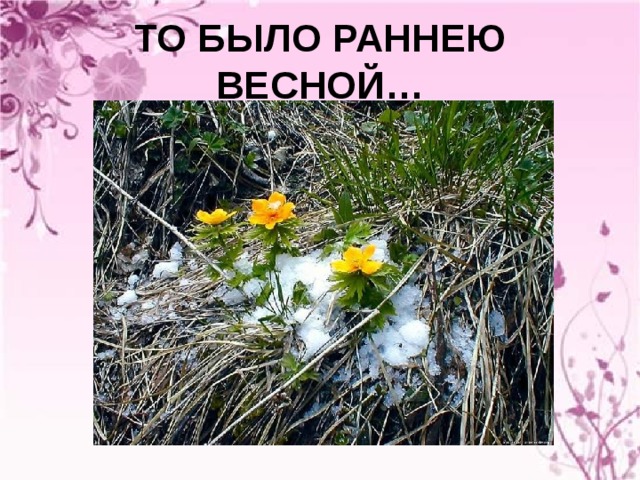 ТО БЫЛО РАННЕЮ ВЕСНОЙ… 