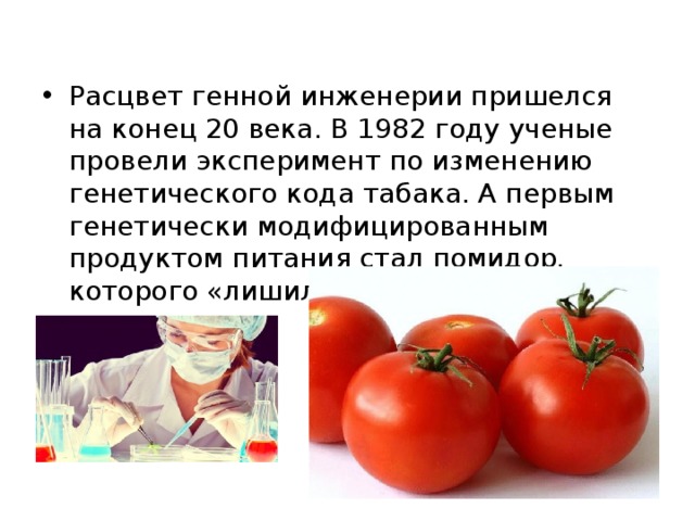 Расцвет генной инженерии пришелся на конец 20 века. В 1982 году ученые провели эксперимент по изменению генетического кода табака. А первым генетически модифицированным продуктом питания стал помидор, которого «лишили» гена вызревания. 