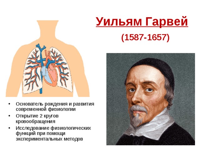 Уильям Гарвей    (1587-1657) Основатель рождения и развития современной физиологии Открытие 2 кругов кровообращения Исследование физиологических функций при помощи экспериментальных методов 