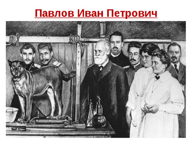 Павлов Иван Петрович  (1849-1936) Выявил механизмы возникновения условных рефлексов Экспериментально подтвердил теорию Сеченова Физиология пищеварения Нобелевский лауреат 
