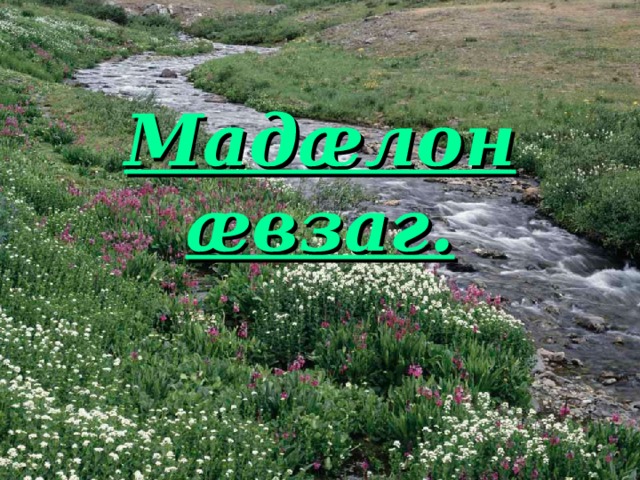 Мадæлон æвзаг. 