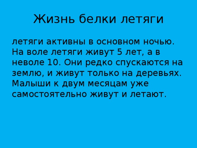 Жизнь белки летяги