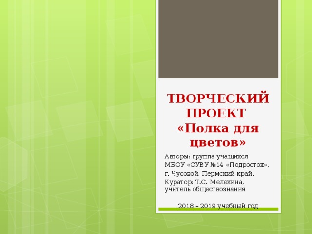 Творческий проект полка по технологии