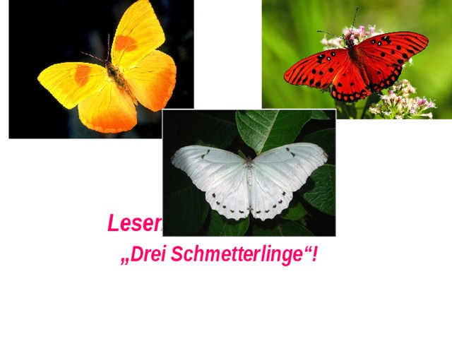        Lesen wir das Märchen  „ Drei Schmetterlinge“!   
