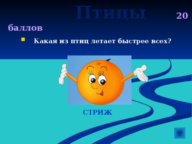  Птицы  20 баллов  Какая из птиц летает быстрее всех?       СТРИЖ 