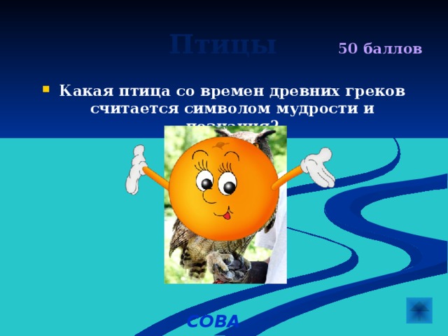  Птицы  50 баллов Какая птица со времен древних греков считается символом мудрости и познания?  СОВА 