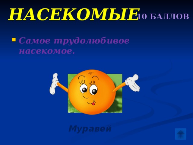 Насекомые 10 БАЛЛОВ Самое трудолюбивое насекомое.  Муравей 