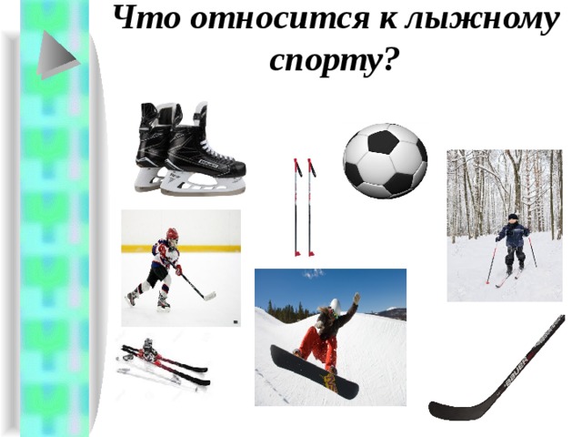 Что относится к лыжному спорту? 