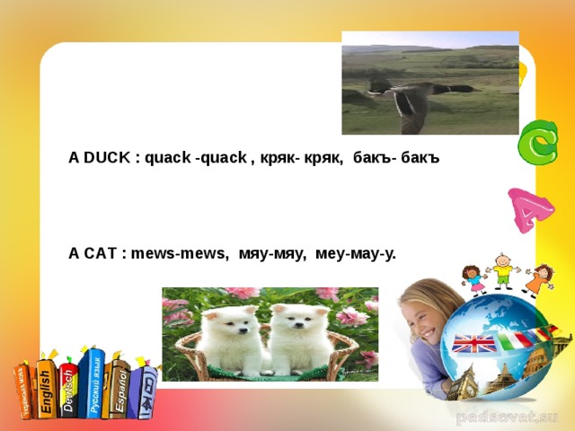  A DUCK : quack  -quack ,  кряк- кряк,  бакъ- бакъ     A C А T : mews-mews, мяу-мяу,  меу-мау-у.        