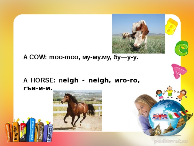 A COW: moo-moo, му-му.му,  бу—у-у .   A HORSE: n eigh - neigh ,  иго-го,  гъи-и-и . 