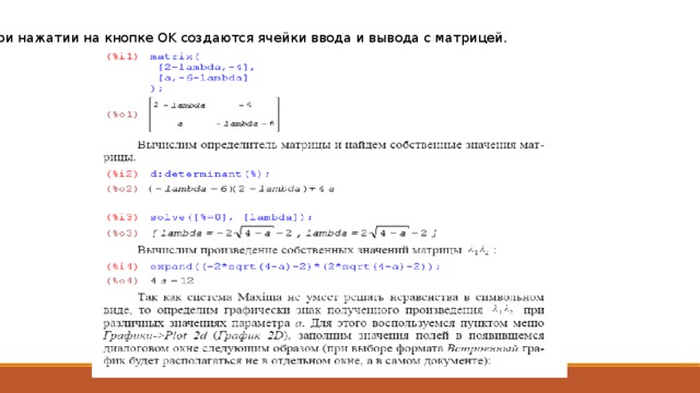 При нажатии на кнопке OK создаются ячейки ввода и вывода с матрицей. 