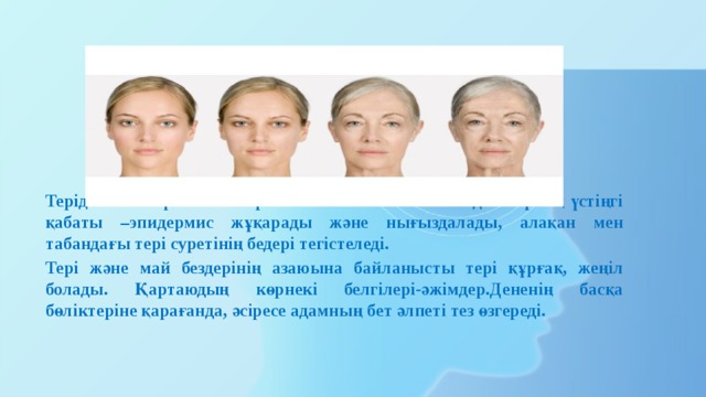 Терідегі жас ерекшеліктері 40 жастан кейін басталады. Терінің үстіңгі қабаты –эпидермис жұқарады және нығыздалады, алақан мен табандағы тері суретінің бедері тегістеледі. Тері және май бездерінің азаюына байланысты тері құрғақ, жеңіл болады. Қартаюдың көрнекі белгілері-әжімдер.Дененің басқа бөліктеріне қарағанда, әсіресе адамның бет әлпеті тез өзгереді. 