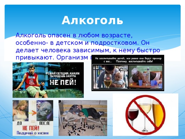 Алкоголь Алкоголь опасен в любом возрасте, особенно- в детском и подростковом. Он делает человека зависимым, к нему быстро привыкают. Организм постепенно разрушается. 