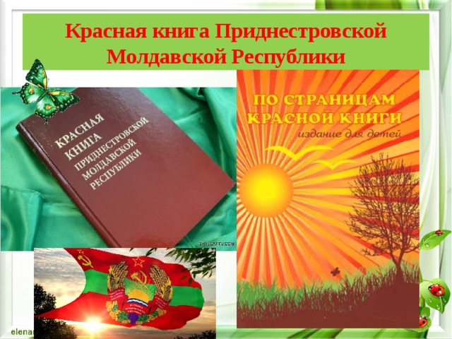 Красная книга молдовы фото