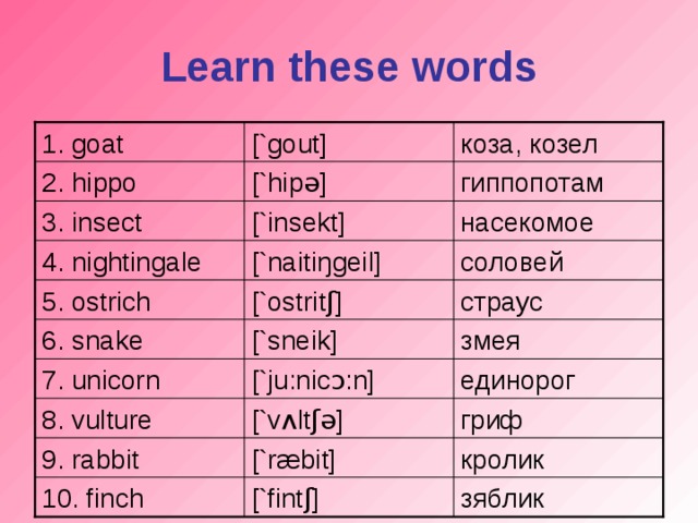Learn these words [`gout] 1. goat коза, козел гиппопотам [`hip ə ] 2. hippo [`insekt] насекомое 3. insect соловей [`naiti ŋ geil] 4. nightingale [`ostrit ʃ ] страус 5. ostrich [`sneik] змея 6. snake 7. unicorn [`ju:nic ɔ: n] единорог 8. vulture [`v ʌ lt ʃə ] гриф 9. rabbit [`r æ bit] кролик зяблик 10. finch [`fint ʃ ]