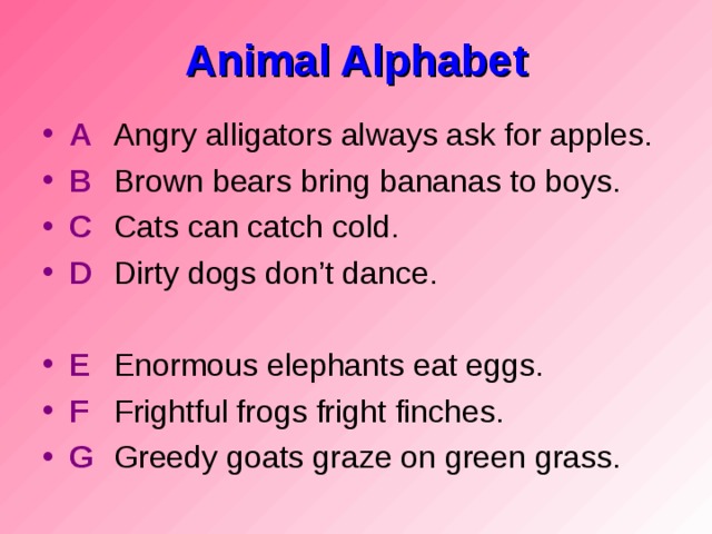 Animal Alphabet