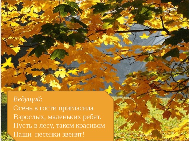 Ведущий : Осень в гости пригласила Взрослых, маленьких ребят. Пусть в лесу, таком красивом Наши песенки звенят! 
