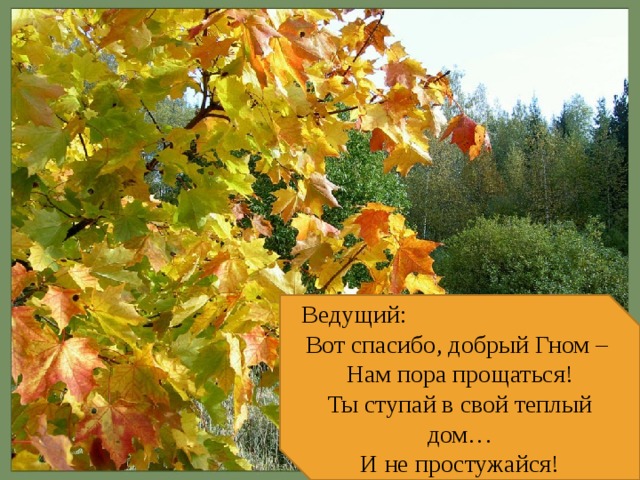 Ведущий: Вот спасибо, добрый Гном – Нам пора прощаться! Ты ступай в свой теплый дом… И не простужайся! 