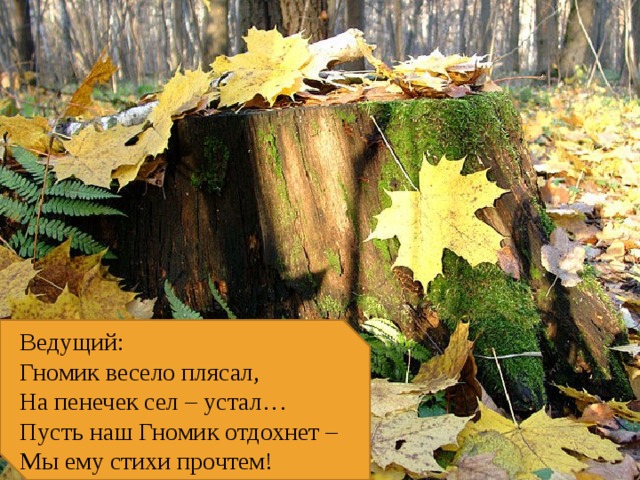 Ведущий: Гномик весело плясал, На пенечек сел – устал… Пусть наш Гномик отдохнет – Мы ему стихи прочтем! 