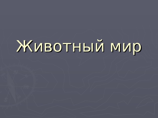 Животный мир
