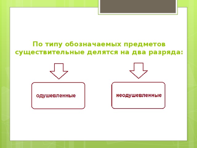 Какие два типа. Существительные делятся на группы. Существительные делятся на два разряда. Существительные делятся на три группы. Существительные делятся на три группы по типу.