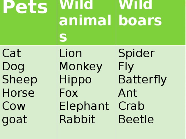 Pets  Cat Wild animals Dog Lion Wild boars Monkey Sheep Spider Fly Hippo Horse Cow Fox Batterfly goat Elephant Ant Rabbit Crab Beetle 