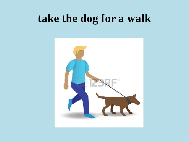 take the dog for a walk 