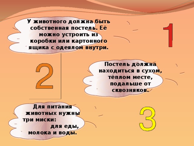 У животного должна быть собственная постель. Её можно устроить из коробки или картонного ящика с одеялом внутри. Постель должна находиться в сухом, тёплом месте, подальше от сквозняков. Для питания животных нужны три миски: для еды, молока и воды.