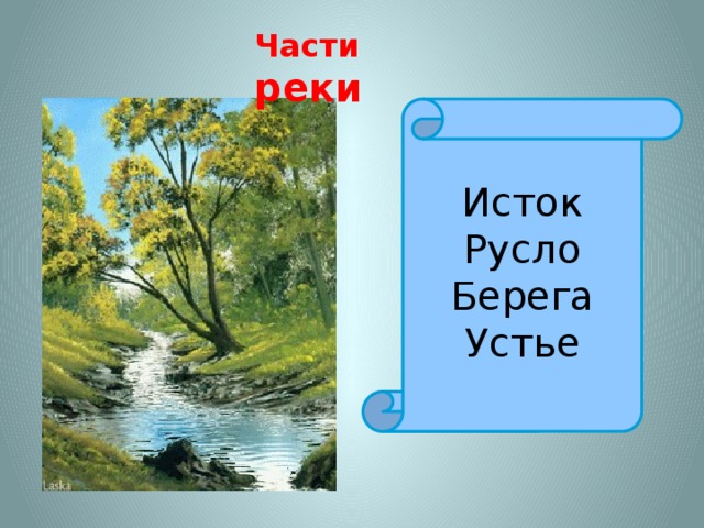 Части реки Исток Русло Берега Устье