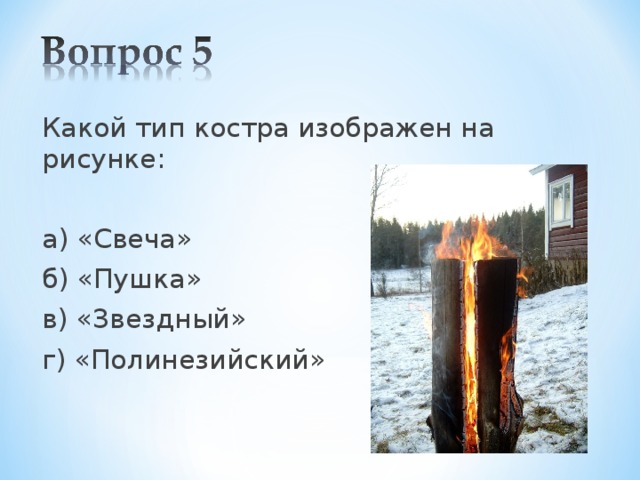 Какой тип костра изображен на рисунке: а) «Свеча» б) «Пушка» в) «Звездный» г) «Полинезийский» 