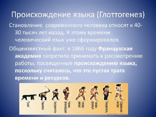 Теории происхождения человеческого языка. Теории происхождения языка. происхождение языка. все теории происхождения языка.