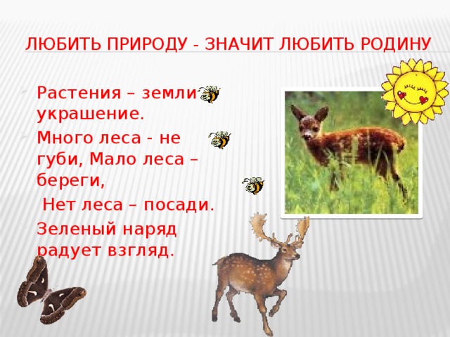 Любить природу - значит любить Родину Растения – земли украшение. Много леса - не губи, Мало леса – береги,  Нет леса – посади.