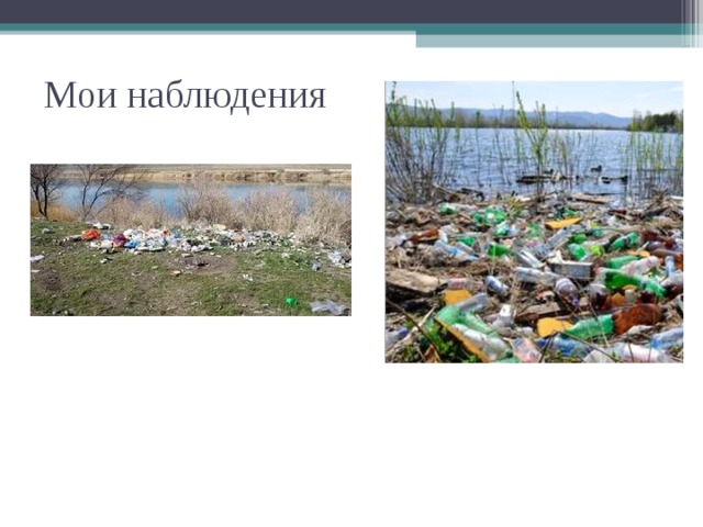 Мои наблюдения