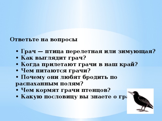 Поговорки о грачах как красиво оформить. Грач Перелетная птица или зимующая. Пословицы о Грачах. Когда прилетают Грачи. Грач какая птица Перелетная или зимующая.